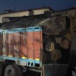 कोरबा-में-206-साल-के-पेड़ों-की-लकड़ी-बरामद,-आरोपी-गिरफ्तार,-आरा-मिल-सील