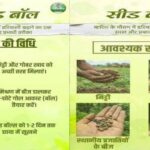 सीड-बॉल-अभियान-हरियाली-बढ़ाने-का-सरल-और-प्रभावी-माध्यम