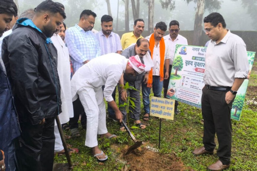 अमरकंटक-में-‘अमृत-हरित-महा-अभियान’-के-तहत-3-हजार-पौधों-का-वृहद-पौधारोपण