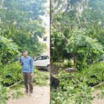 मुख्यमंत्री-हेल्पलाइन-से-मिला-त्वरित-समाधान,-बिजली-तार-से-टकरा-रही-पेड़-की-डालियां-हटीं,-बड़ा-हादसा-टला
