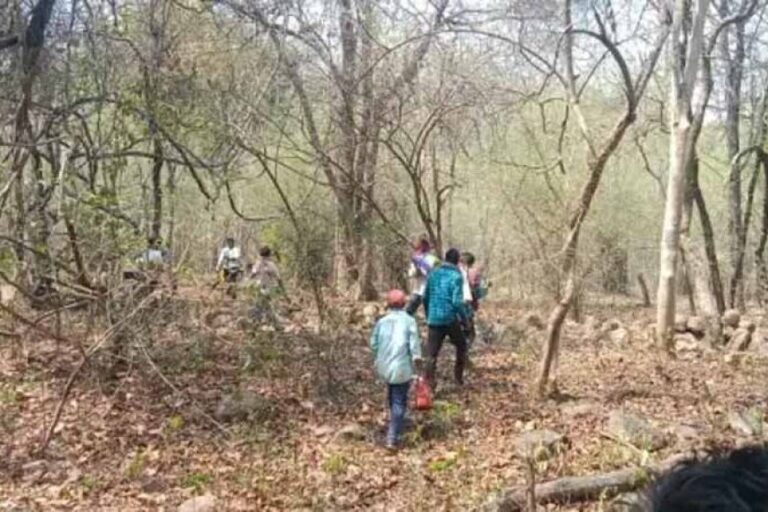 cg-crime-news:-9वीं-के-छात्र-का-जंगल-में-मिला-शव,-चेहरे-पर-पत्थर-से-हमला,-हत्या-की-आशंका
