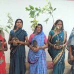 cg-में-‘महतारी-वंदन-वृक्षारोपण-अभियान’-को-मिलेगी-रफ्तार,-2.45-लाख-महिलाएं-करेंगी-पौधारोपण