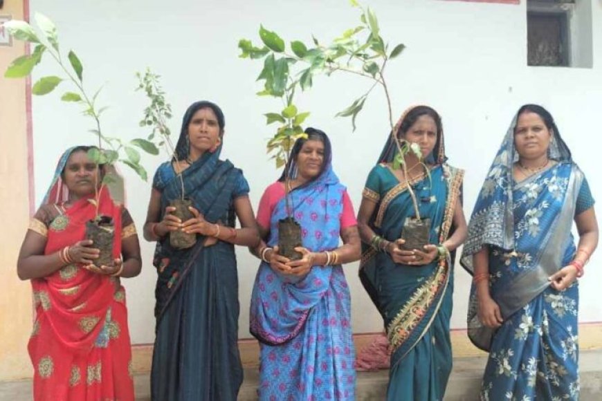 cg-में-‘महतारी-वंदन-वृक्षारोपण-अभियान’-को-मिलेगी-रफ्तार,-2.45-लाख-महिलाएं-करेंगी-पौधारोपण