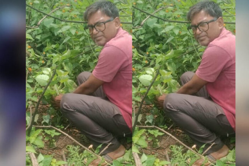 जबलपुर-पूर्व-प्रदेश-अध्यक्ष-सुनील-कुमार-राय-ने-पीपल-के-वृक्ष-मझौली-में-लगाए