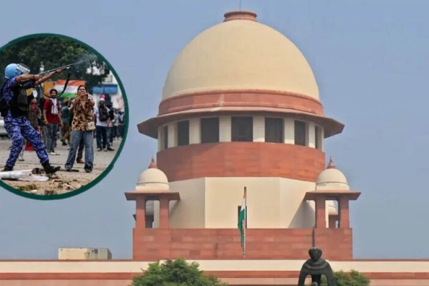 sc-का-बड़ा-फैसला:-असाधारण-हालात-में-पैलेट-गन-का-इस्तेमाल-जायज,-घायल-के-इलाज-का-सरकार-को-आदेश