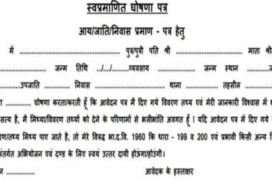 दुर्ग:-जाति-मूल-निवास-प्रमाण-पत्र-के-134-में-से-सिर्फ-2-आवेदन-स्वीकृत,-115-खारिज