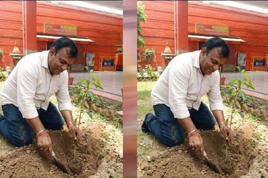 प्रदेश-उपाध्यक्ष-महेश-सिनकर-ने-आम-के-वृक्ष-मंदिर-परिसर-में-लगाए