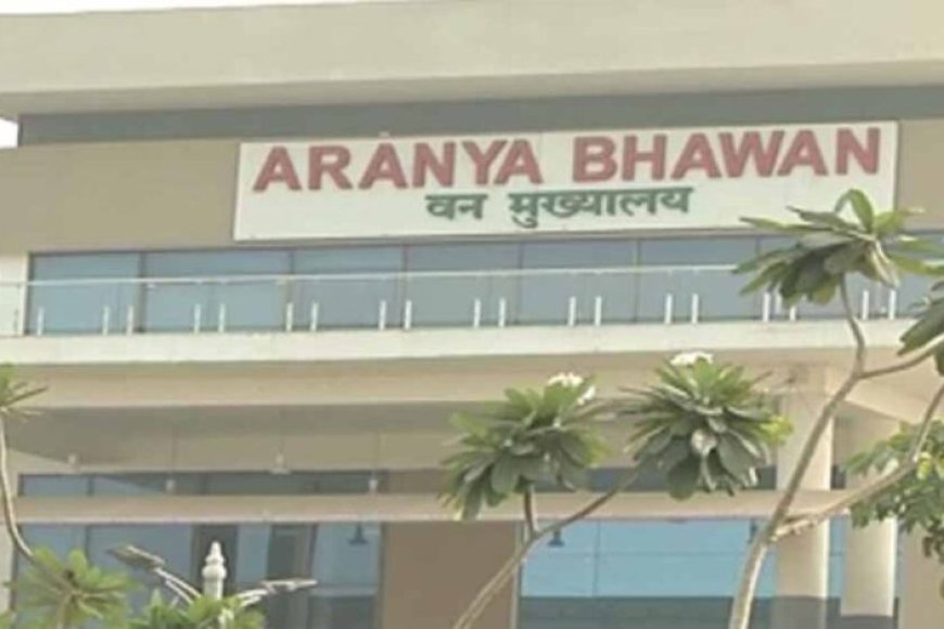 cg-में-प्रशिक्षु-ifs-अधिकारियों-की-पहली-फील्ड-पोस्टिंग,-परख-सारडा-बने-सुकमा-के-dfo