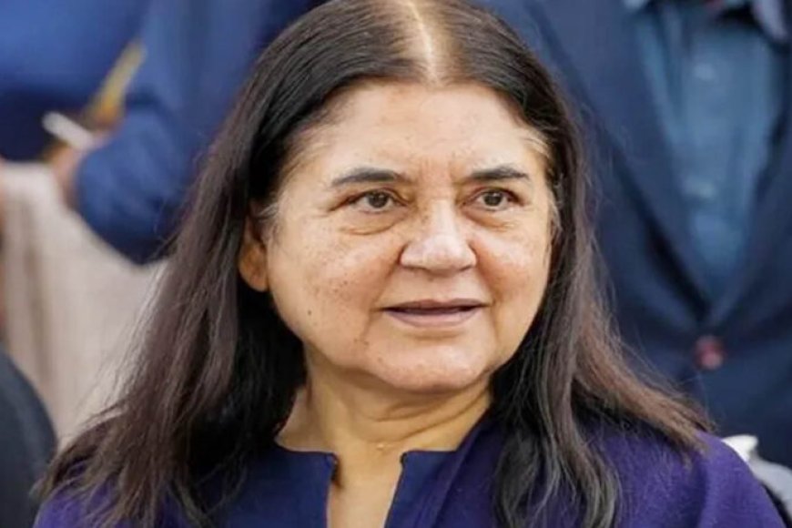 मेनका-गांधी-के-हाथ-से-निकली-522-एकड़-जमीन,-51-साल-पुराने-विवाद-में-आया-बड़ा-फैसला