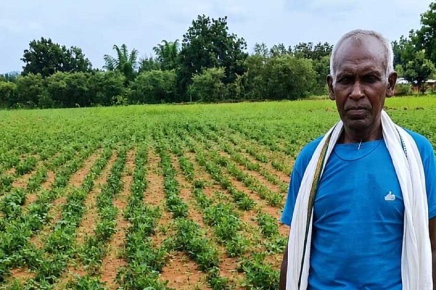 nmeo-योजना-से-किसान-बेसाहू-राम-की-खेती-को-मिली-नई-दिशा