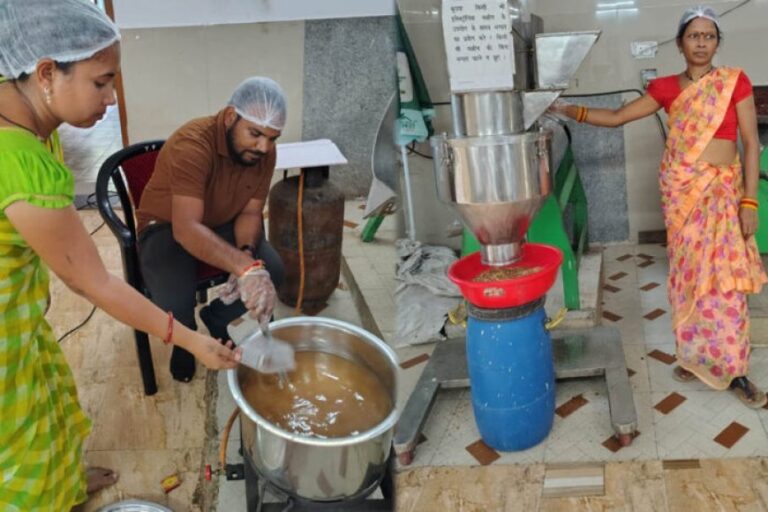 महुआ-से-बदली-महिलाओं-की-तकदीर,-वन-धन-योजना-ने-दी-आत्मनिर्भरता-की-नई-पहचान